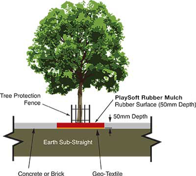 Cross Section Illustration