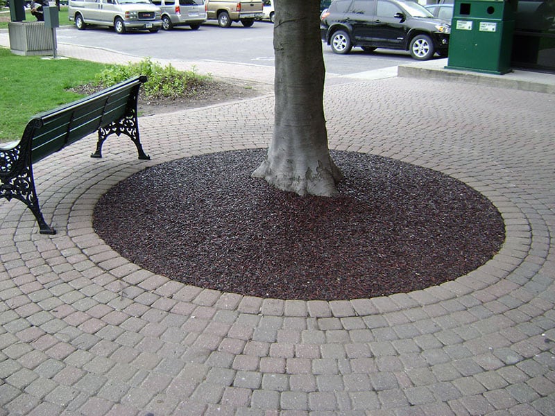 Tree mulch around a tree in a public park with benches and parking lot in background.